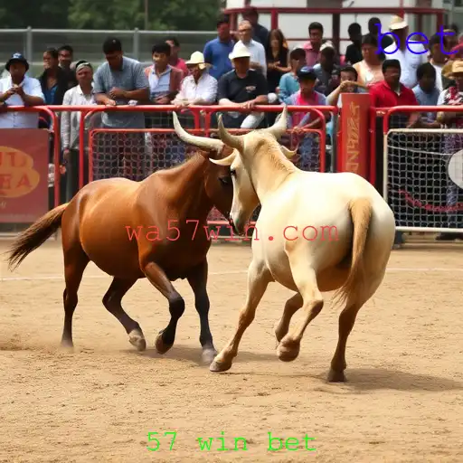 Rinha de galos